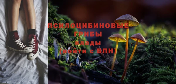 стафф Алексеевка